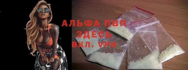 крисы Коряжма