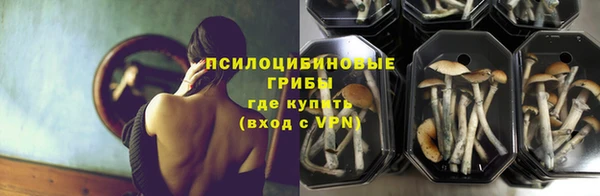 бошки Кодинск
