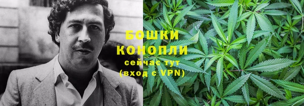 2c-b Козловка
