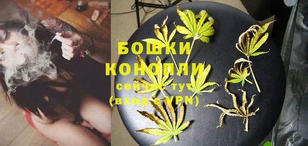 крисы Коряжма
