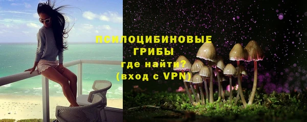 крисы Коряжма
